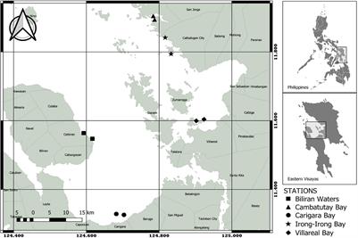 A Snapshot on the Distribution of Coastal Phytoplankton Communities in Five HAB-Affected Bays in Eastern Visayas, Philippines